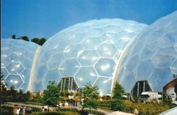 The Eden Project in Bodelva, Cornwall Wallpaper