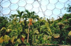 The Eden Project in Bodelva, Cornwall Wallpaper