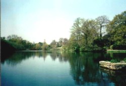 Newstead Abbey Wallpaper