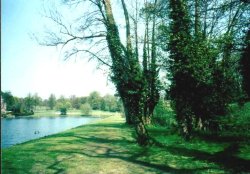 Newstead Abbey Wallpaper