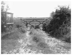 Gate to a field by the coastal path, Studland, Dorset. Wallpaper