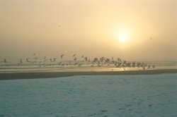 Early morning Gorleston beach. Gorleston-on-Sea, Norfolk Wallpaper