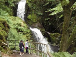 TRAVEL BY TRAIN AND STOP TO SEE
   DOLGOGH FALLS NEAR TYWYN GWYNEDD Wallpaper