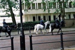 London, by Buckingham Palace - June 2005 Wallpaper