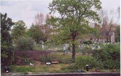 Kensalgreen cemetery, from the regent canal, London Wallpaper