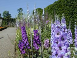 In the garden Castle Howard Wallpaper