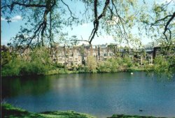 London - a picture of Ponds of Hampstead Heath Wallpaper