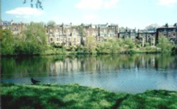 London - a picture of Ponds of Hampstead Heath