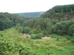 Cadshaw, Darwen, Lancashire. A wonderful place to walk the dog. Wallpaper