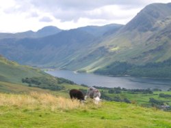 The Buttermere in the Lake District, Cumbria - AUGUST 2004