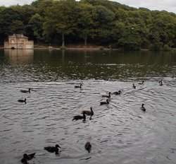 The old Boat house on Newmillerdam, West Yorkshire Wallpaper