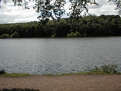 A beautiful view of newmillerdam in the summer time, West Yorkshire Wallpaper