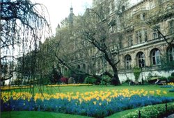 London - Victoria Embankment Gardens, May 2001 Wallpaper