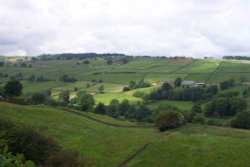 Bronte Moors, Haworth, England Wallpaper