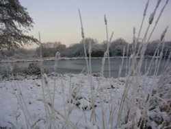 Wellow Pond near Ollerton, Nottinghamshire Wallpaper