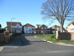 Manor Fields, Pawlett, Somerset Wallpaper