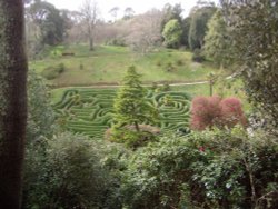 Glendurgan Gardens, the maze Wallpaper