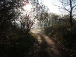 Taking the dog for a walk. Weaver Valley, heading in the direction of Newbridge, Winsford, Cheshire Wallpaper