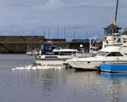 Whitehaven Harbour Nov 05
Canon Powershot S50 Wallpaper