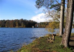 A picture of Talkin Tarn Country Park Wallpaper