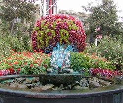 Roadside gardens in Blackpool Wallpaper