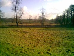 Munden Farmland, North Watford, Looking down upon the River Colne Wallpaper