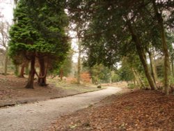 Whitehall Park, Darwen, Lancashire. Wallpaper