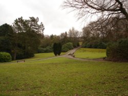 The clearing in Whitehall Park, Darwen, Lancashire. Wallpaper