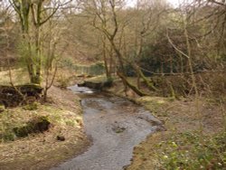 A picture of Sunnyhurst Woods, Darwen, Lancashire. Wallpaper