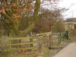 The highest entrance to Sunnyhurst Woods, Darwen, Lancashire. Wallpaper