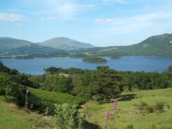 Derwent Water, The Lake District, Cumbria 2005 viewed from cat beels Wallpaper