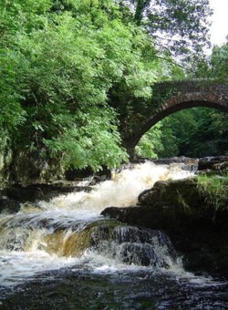 Walden Beck River, West Burton, Bishopsdale, North Yorkshire.