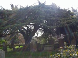 Cementary close to church of St Cross. Oxford Wallpaper