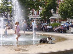 Fountains, Lord Street Wallpaper