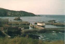 St Abbs Life boat station and Harbour Wallpaper