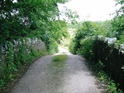 Ancient footbridge from Coldridge to Brushford, Devon (taken in July 2005). Wallpaper