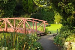 Garden in Avenham Park: Preston, Lancashire Wallpaper