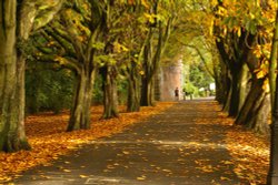 Avenham Park: Preston, Lancashire Wallpaper