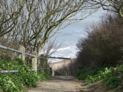 Cliff Walk Cromer Wallpaper