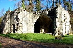 Roche Abbey, Maltby, Rotherham, South Yorkshire Wallpaper