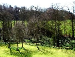 Maltby Beck, (near Rotherham ) South Yorkshire, winding its way to Roche Abbey and beyond. Wallpaper