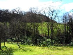 Maltby Beck, (near Rotherham ) South Yorkshire, winding its way to Roche Abbey and beyond. Wallpaper