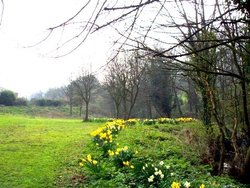 Maltby Beck, (near Rotherham ) South Yorkshire, winding its way to Roche Abbey and beyond.