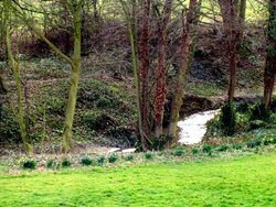 Maltby Beck, (near Rotherham ) South Yorkshire, winding its way to Roche Abbey and beyond. Wallpaper