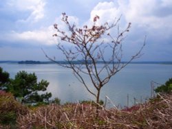 Looking towards the Isle Of Purbeck from Brownsea Island, Dorset Wallpaper