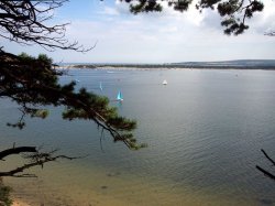 Looking towards Studland from Brownsea Island, Dorset Wallpaper