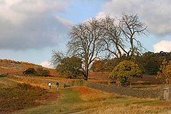 Bradgate Park in Leicestershire Wallpaper