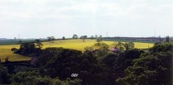 Braithwell Village taken from St James Church Tower Open Day June 11th 1994. Wallpaper