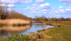 Stockbridge Marsh, Hampshire Wallpaper