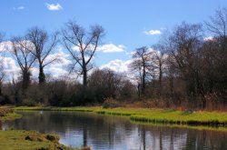 Stockbridge marsh, Hampshire Wallpaper